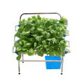 Planta NFT DIY Hydroponic System de crecimiento hidropónico