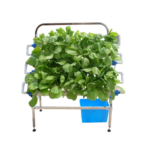 Planta NFT DIY Hydroponic System de crecimiento hidropónico