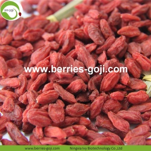 Perdre du poids Nutrition naturelle séchée Tibet Goji Baies