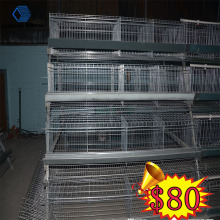 poultry farming business plan with bird cage