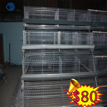 Design poultry farm equipment chicken cage