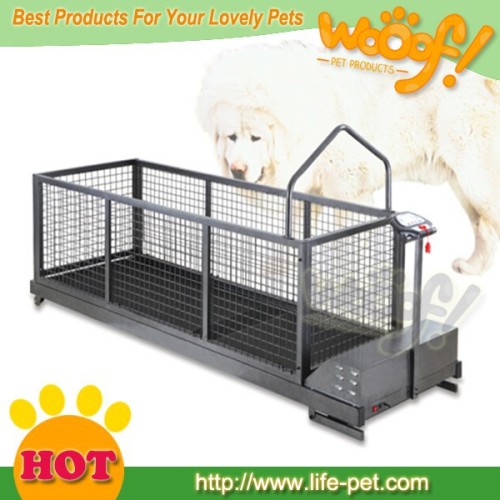 Hot selling pet dog products high quality dog treadmill