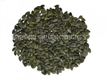 New Crop Pumpkin Seed Kernels GWS