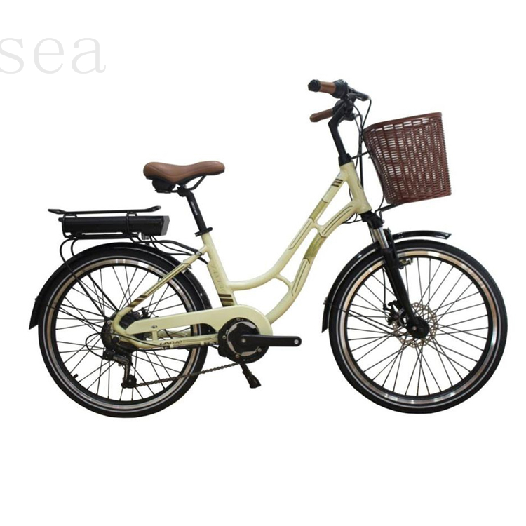 20''folding suspension fork ebike/20''mini frame folding electric bicycle/20''small folding ebike 250w motor