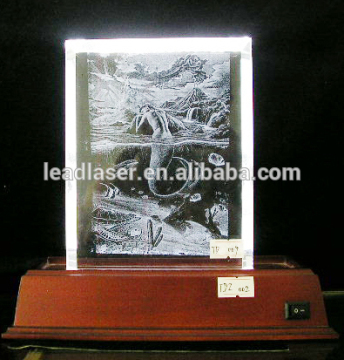 Polish 3D Laser Engraving Inside Glass Tube