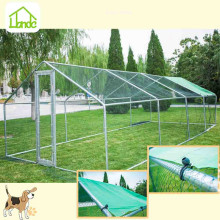 Large walk-in chicken and poultry cages