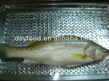 frozen seabass whole round