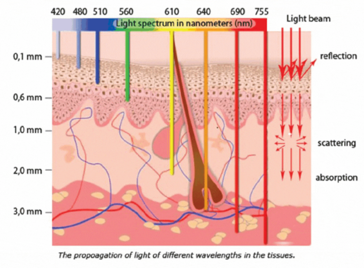 Red Light Therapy Multi-spectral Led Skin Care Pain Relief Led Light Face Infared Light Therapy