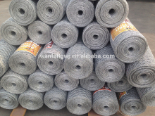 Wire Mesh Hexagonal Galvanized/galvanized iron wire net