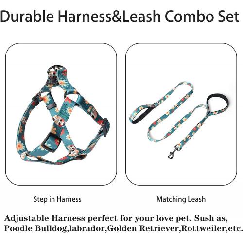 Dog Harness &amp; Leash Conjunto Ajustável Resistente Não Pull Dog Harnesses