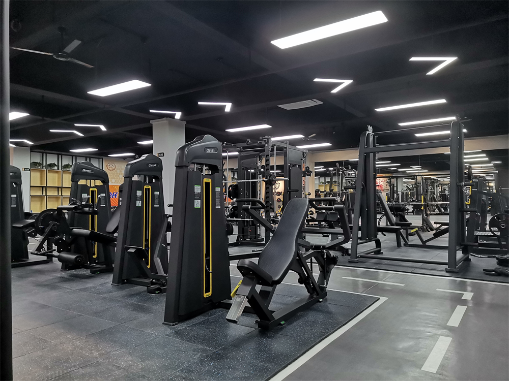 commercial gym equipment (10)