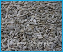 Shelled sunflower seeds Chinese sunflower seed kernel price