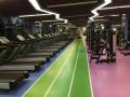 Plast vinyl Golvmatta för gym