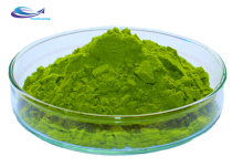 Organic Chinese Plant Extract Broccoli Extract