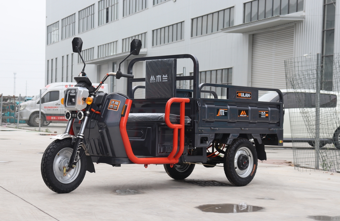 Cargo Electric Tricycle