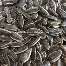 sunflower seeds price export sunflower seeds raw seed