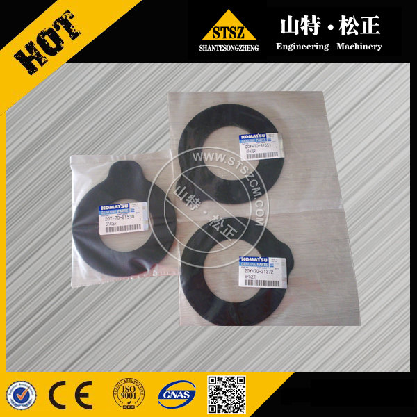 Gasket 3810187