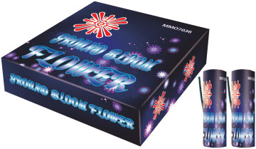 Fireworks -Ground Bloom Flower