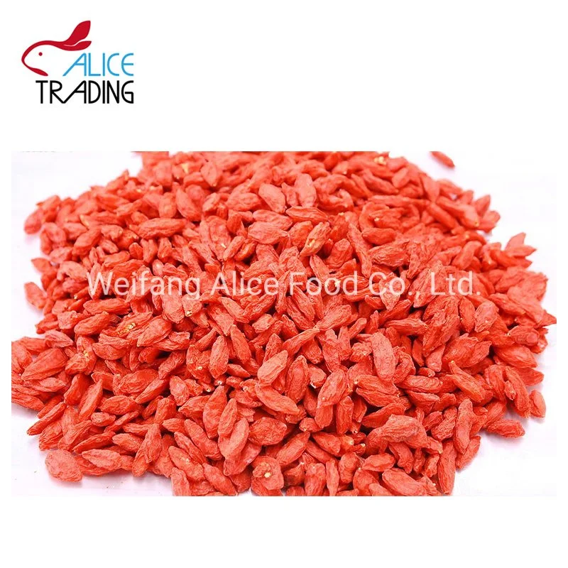 Bulk Packing Low Price Super Food Dried Goji Berry Wolfberry Dry Goji