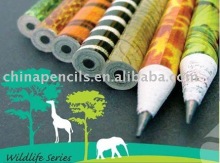 Paper Rolled Colour Pencil