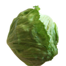 Iceberg Lettuce, Fresh and Tasty Beneficial for Blood