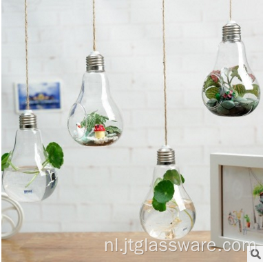 Kleine hangende helderglazen traanvaas onregelmatig terrarium