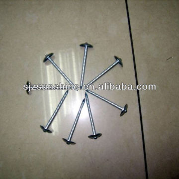 Electric galvanized flat head roofing nail