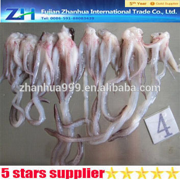 [Squid Tentacles ] Loligo chinensis squid tentacles Seafood illex squid todarodes