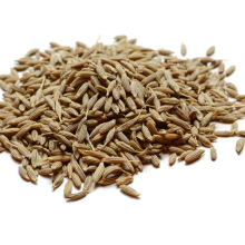 Wholesale Supplier of Premium Quality Dried Cumin Seeds and Whole Dry Cumin