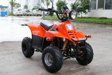 mini ATV