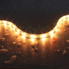 2014 Surprising Price smd led ribbon strips