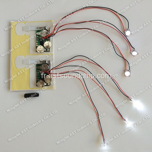 Modules LED, LED à languette coulissante, LED pour cartes de vœux