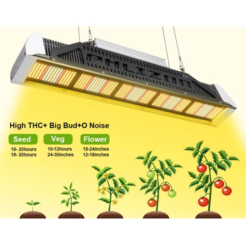 Sin ventilador Las plantas a prueba de agua crecen Iluminación LED