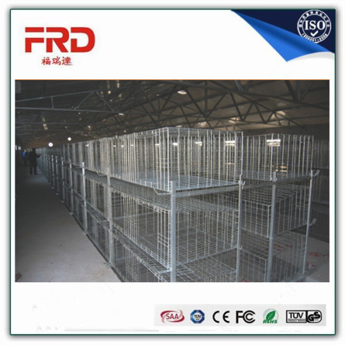 Trade assurance 100% payment guarantee factory supply chicken transport cage with long working time