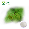 Polygonum cuspidatum-extracten Resveratrol