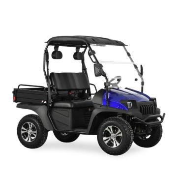 4KW Electric Golf Cart BLUE for sale