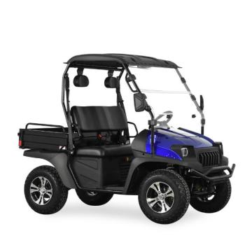 Cart de golf électrique 4kw bleu à vendre