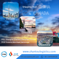 Zeevracht van Shenzhen Shanghai Shantou naar Vancouver