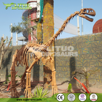 Theme Park Decoraton Dinosaur Fossil Dinosaur Skeleton
