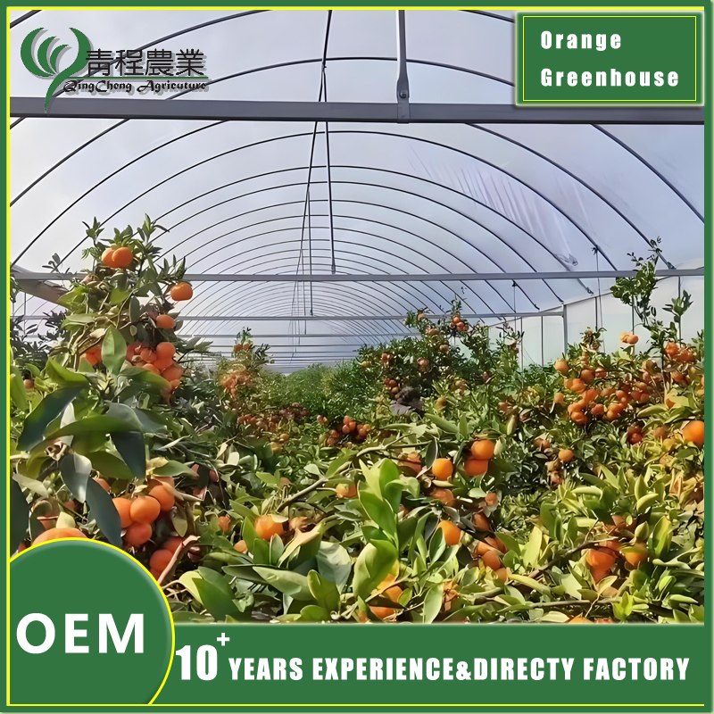 projeto de estufa de laranjal orangery greenhouse design