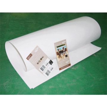 Photo Printing Double Sided PET Film Advertising Printing