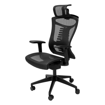 Ergonomic home office chair