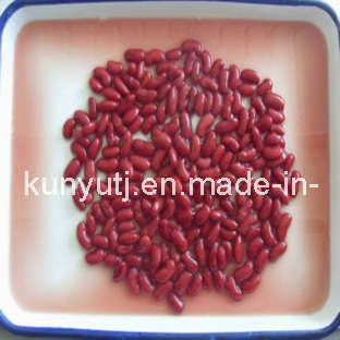 Canned Red Kidney Beans with High Quality