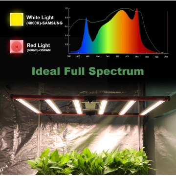 Ticari katlanabilir çubuk kapalı bitki LED büyüme ışıkları