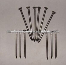 common wire nail
