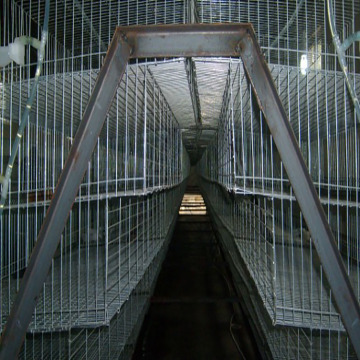 A type 96 Chicken Egg Chicken Cage House