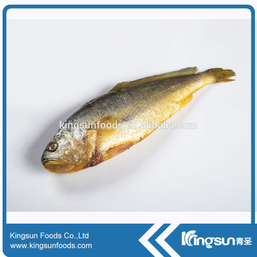 High Quality Frozen Yellow Croaker W/R For Sale