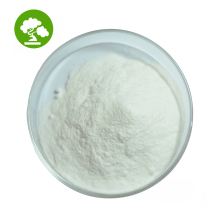 Top Quality Rennet Casein Protein Food Grade