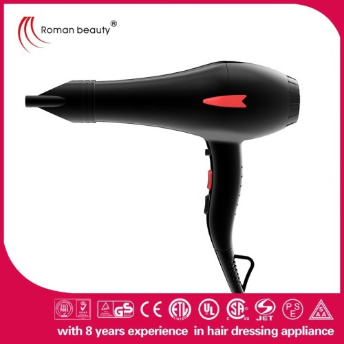 The Best Price Professional Standing 2200W Hair Dryers