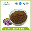 Enhancing immunity 10:1 Dendrobium extract polysaccharide